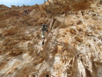 SNV80264.JPG
